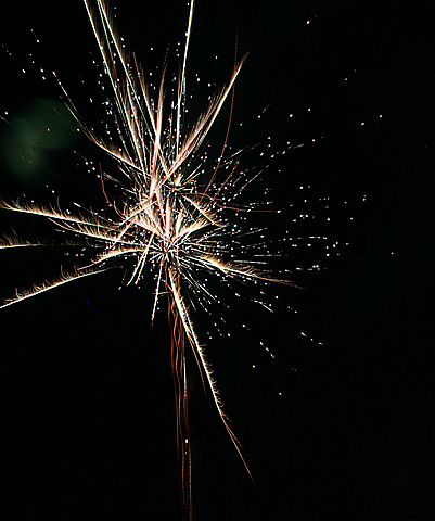 Fourth of July Picnic and Fireworks at Cooks IMG_6826.jpg (83 k)