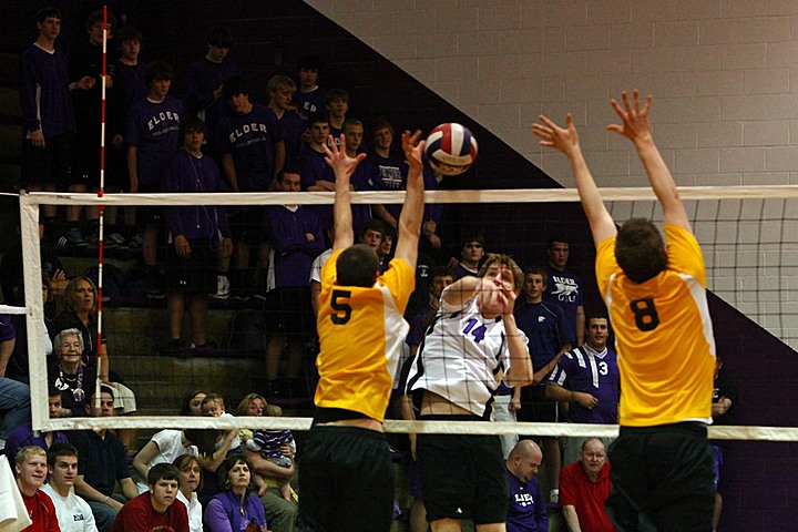 Elder Varsity Volleyball vs Centerville img_8374.jpg (136 k)