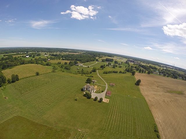 Madison Vineyards Estate Winery and Bed&Breakfast g0045762.jpg (117 k)