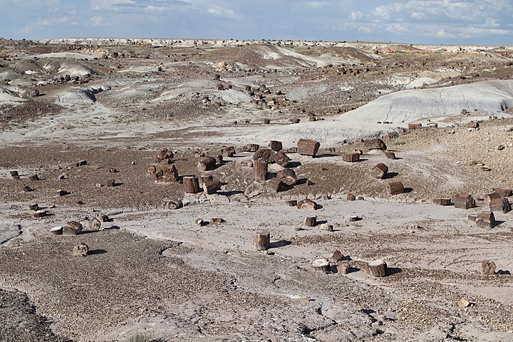 Road Trip Thru Arizona, New Mexico & Colorado 2018-07-24_img_3435.jpg (235 k)