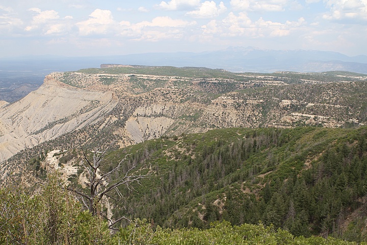 Road Trip Thru Arizona, New Mexico & Colorado 2018-07-26_img_3601.jpg (193 k)