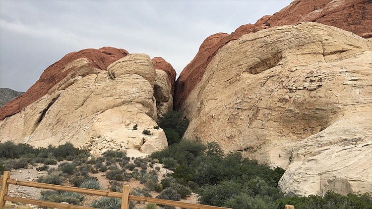 Road Trip Thru Arizona, New Mexico & Colorado 2018-07-31_bhdk5839.jpg (167 k)